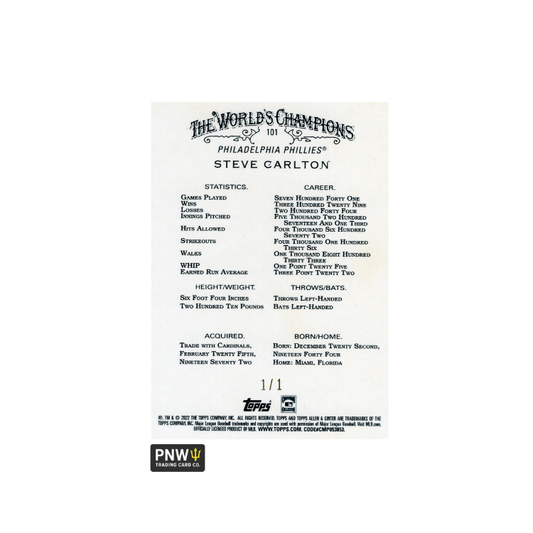 Shieldski™- FrostLens